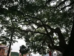 火狐体育平台-myfreemp3音乐官网